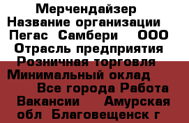 Мерчендайзер › Название организации ­ "Пегас" Самбери-3, ООО › Отрасль предприятия ­ Розничная торговля › Минимальный оклад ­ 23 500 - Все города Работа » Вакансии   . Амурская обл.,Благовещенск г.